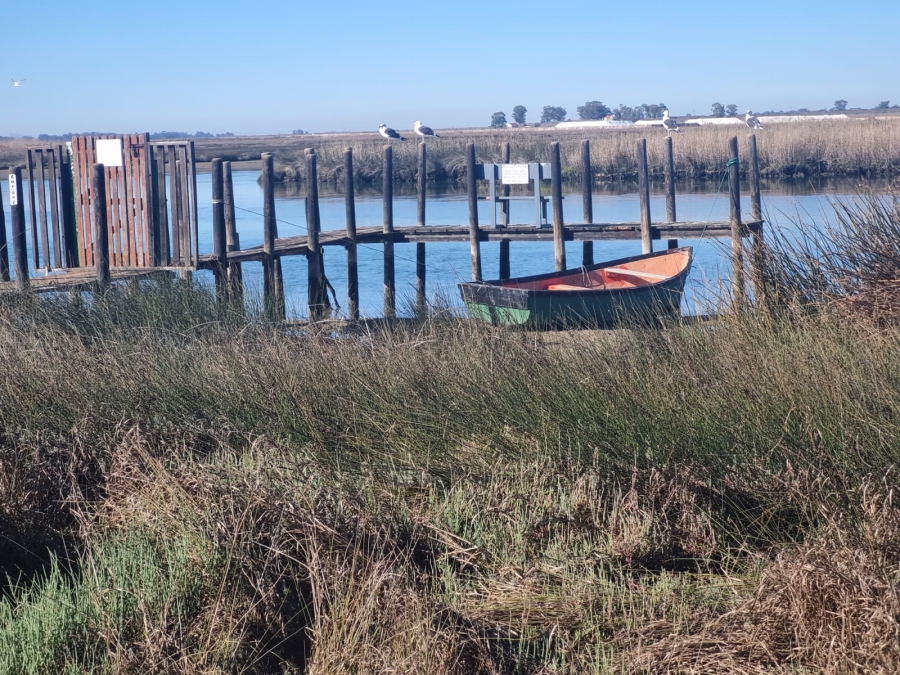 0 Bedroom Property for Sale in Laaiplek Western Cape